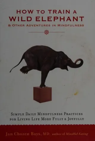 Cover of How to Train a Wild Elephant by Jan Chozen Bays