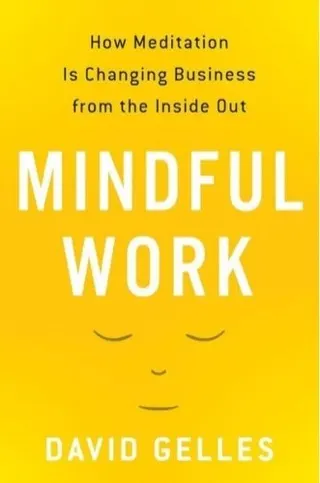 Cover of Mindful Work by David Gelles
