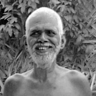 Cover of Who Am I? by Ramana Maharshi